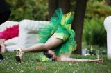 Garden Party  5 * 5616 x 3744 * (6.83MB)